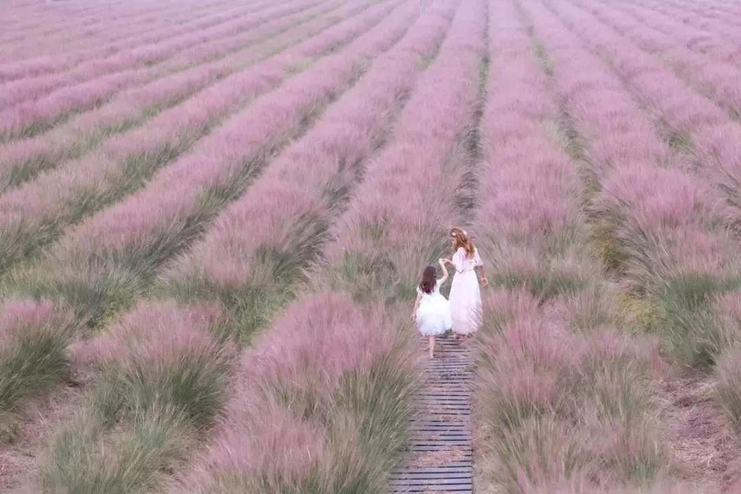 微信圖片_20190712143004.jpg